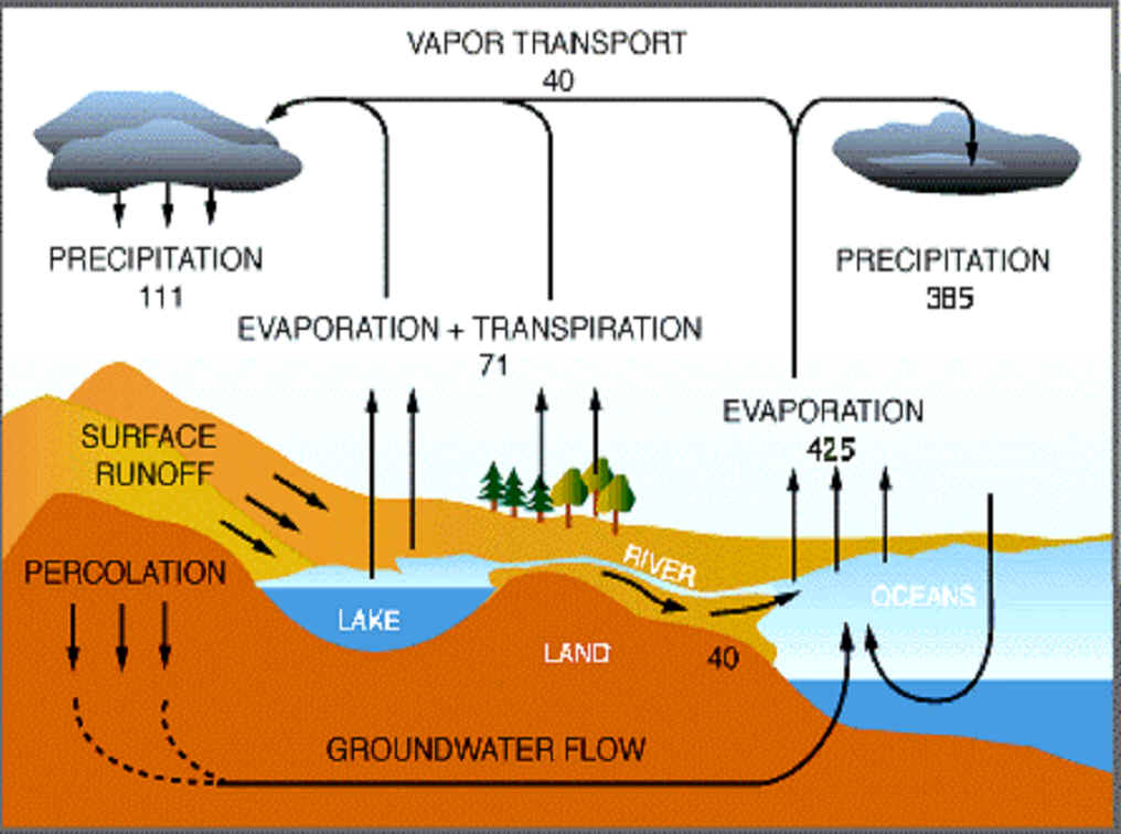 The Global Water and Nitrogen Cycles